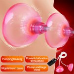 Breast Massager Vibrator Nipple Stimulator Sex Toys For Adults Women Breast Enlargement Pump Sucker Suction Cup 10 Speeds