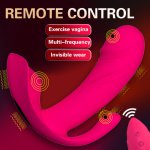 Invisible Wearable Pants Vibrator Rechargeable Wireless Remote Control Dildo Vibrator Clitoris Vagina Vibrating Massager Sex Toy