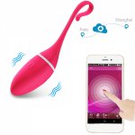 Bluetooth USB Wireless App Remote Control Vibrating Eggs Sex Toys for Women Kegel Ball Ben Wa Ball Clitoris Stimulator Vibrators