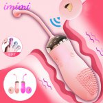 Panty Vibrator with Wireless Remote Vibrator Portable Clitoral Stimulator Vaginal Massage Ball Vibrating Egg Sex Toys For Women