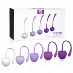 5pcs Set Kegel Balls Cherry Shape Vaginal Tightening Ball Pelvic Floor Exerciser Ben Wa Geisha Muscle Shrink Sex Toys for Women