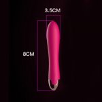 USB Rechargeable Swing Rotation Vibrators Vagina G-spot Massager Clitoris Stimulate Masturbator Sexual Products Toys for Woman