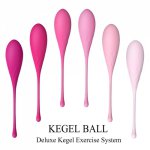 Kegel Ball Vaginal Tignten Exerciser Sex Toys Shrinking Vagina Geisha Ball Tighten Exercise Machine 6 pcs Different Weight