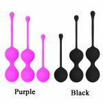 Portable Kegel Trainer Balls Weight Kegel Ball Ben Wa Ball Vagina Exercise Kit Vaginal Geisha Ball Vibrator Sex Toys for Women