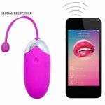 Pretty Love Bluetooth Vibrator Wireless App Remote Control Egg Vibrators Clitoris Vagina G Spot Sex Toys for Women USB Recharge