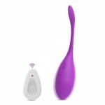 G-spot Vibrator Ben Wa Ball Kegel Exercise Vaginal Ball Vibrating Eggs Remote Control Bullet Vibrators Sex Toys for Women