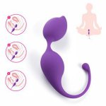 Vaginal Tighten Exerciser Kegel Ball Sex Machine Shrinking Vaginal PC Muscle Balls Geisha Ben Wa Ball Adult Sex Toys for Women