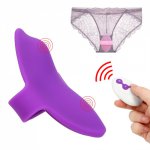 Panties Vibrating Egg Bullet Vibrator Clitoris Vagina Stimulate Female Masturbation 10 Speed Sex Toys for Women