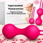 Vagina Balls Set Safe Silicone Private Parts Tighten Exercise Shrink Dumbbell Female Kegel Postpartum Contraction Sex Toys