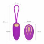 12 Modes Wireless Control Vibrator Sex Toys for Woman Adults Couples Vagina Female Masturbator Products Intimate Goods Sex