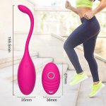 Remote Control Jump Egg Dildo Vibrator Kegel Ball Vagina Exerciser G-spot Clit Stimulator Female Masturbator Sex Toys for Woman