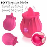 10 Vibration Modes Rose Vagina Sucking Vibrator Intimate Good Nipple Sucker Oral Licking Clitoris Sucker Powerful Women Sex Toys