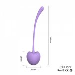 5pcs/set Smart Kegel Balls Vaginal Tighting Exercise Kit Cherry Bolas Chinas Vaginal Ben Wa Balls Vibrators Sex Toys For Woman