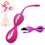 Female Smart Vagina Exercise Ball Silicone Kegel Ball Vagina Tightening Trainer Geisha Ball Ben Wa Ball Adult Sex Toys for Women