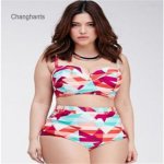 2018 New Models Sexy Women Plus Size Bikinis Set Geometry Printing Over XL-4XL Swimsuit Swimming Swim Big Two Pieces Swimwear