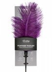 Pejcz-Purple Feather Tickler