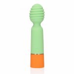 Ribbed Mini Vibrator with USB Charger