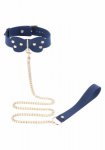 Silicone Collar and Leash Blue